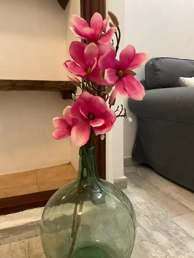 Apartamento La Pepa - Santa Cruz De La Palma Santa Cruz de la Palma  Santa Cruz de la Palma (Isla de la Palma)
