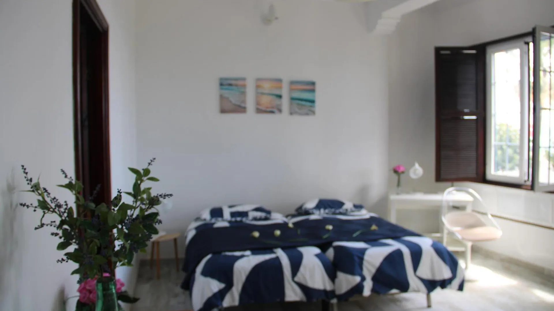 Apartamento La Pepa - Santa Cruz De La Palma Santa Cruz de la Palma  0*, Santa Cruz de la Palma (Isla de la Palma) Spanien